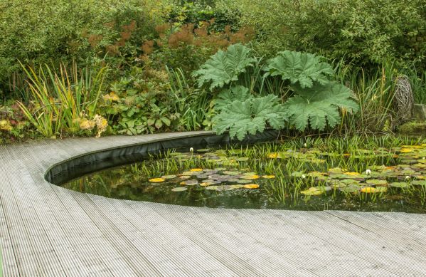 Jak zrobić oczko wodne w ogrodzie?