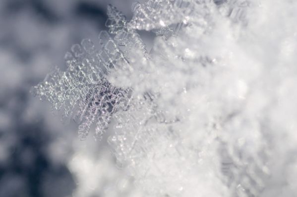 śnieg pod mikroskopem