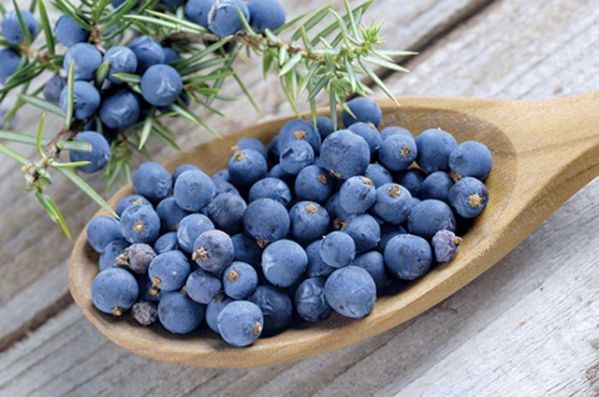 Potrząśnij jałowcem