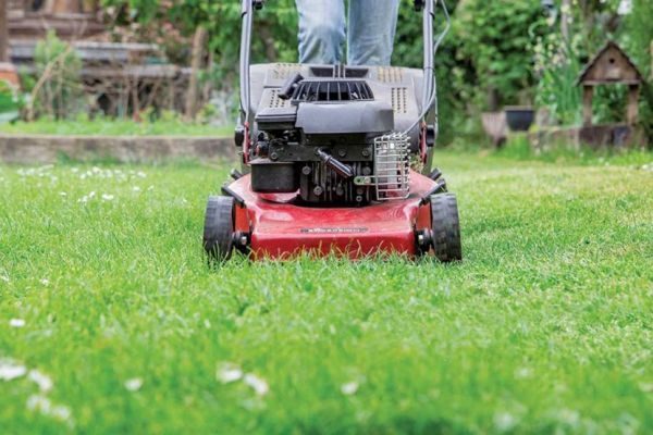 Jak zadbać o trawnik na wiosnę?