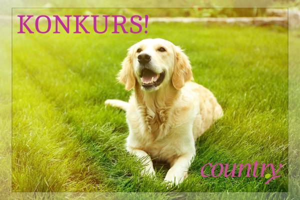 Konkurs: Sfotografuj ulubieńca! Konkurs: Sfotografuj ulubieńca!