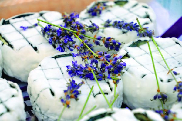 festiwal kwiatów jadalnych