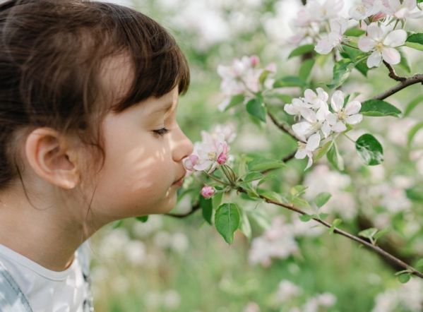 przysłowia na kwiecień