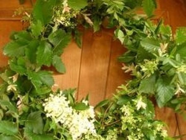 Noc świętojańska nad stawem w Tenczynku