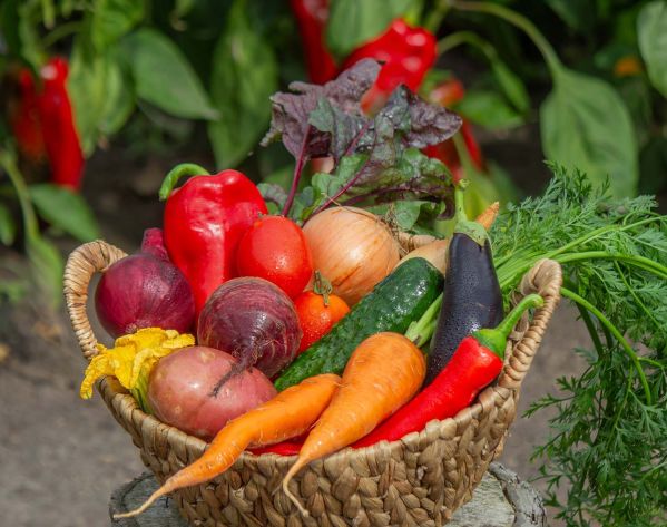 kalendarz biodynamiczny lipiec 2026