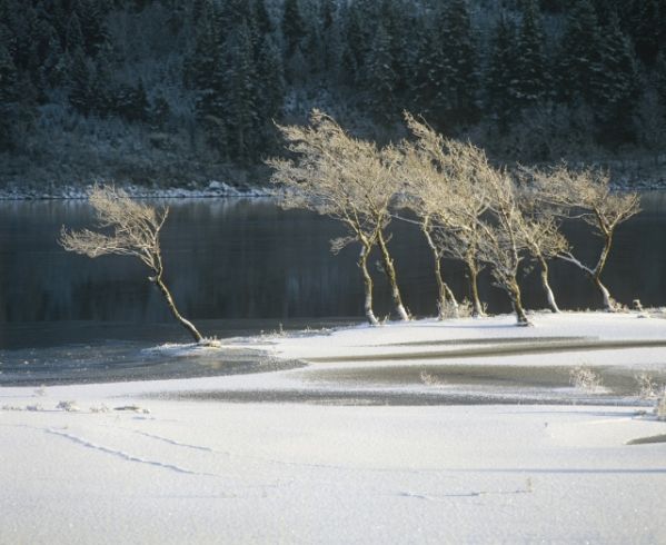 Jak zasnąć, gdy wieje
