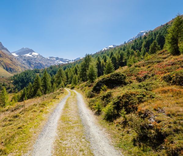 Staropolskie przysłowia na wrzesień. Sprawdź, które z nich znasz i jaką pogodę nam przyniosą w tym roku?