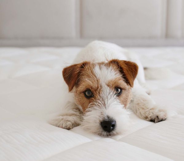 jaki materac wybrać