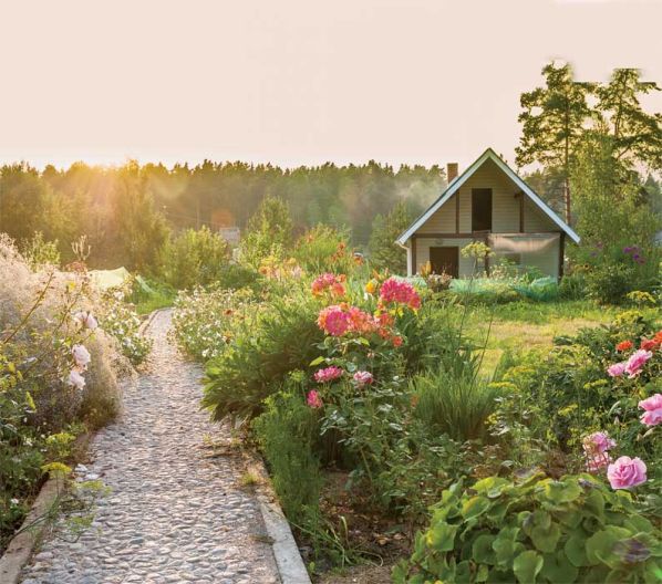 Letniak - duży czy mały?