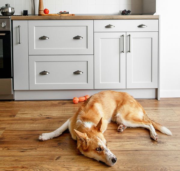 Czy panele winylowe to dobry wybór do kuchni i łazienki