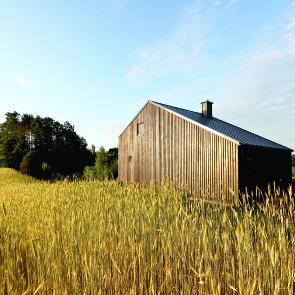 plakat młodożeńca