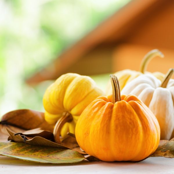 Przysłowia na październik. Sprawdź czy wszystkie znasz?