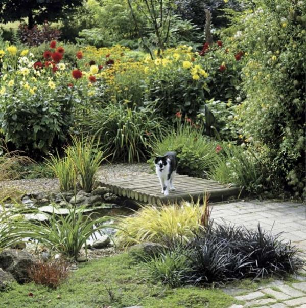 Własna oczyszczalnia