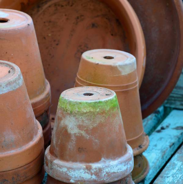 Jak samodzielnie odnowić doniczki ceramiczne Jak samodzielnie odnowić doniczki ceramiczne