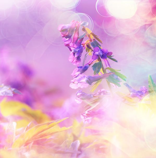 kalendarz biodynamiczny sierpien 2025