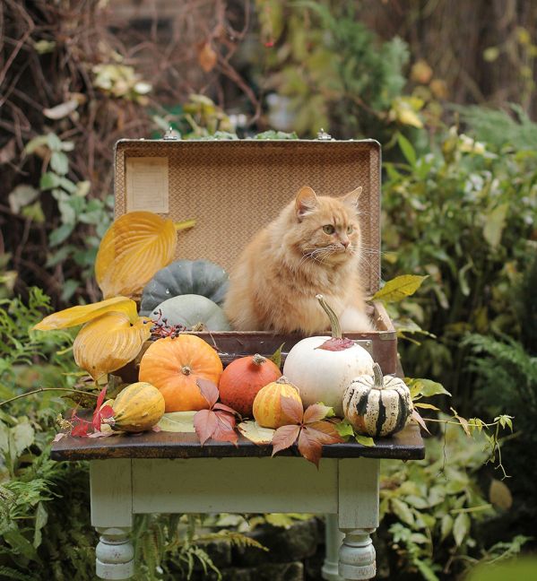kalendarz biodynamiczny październik