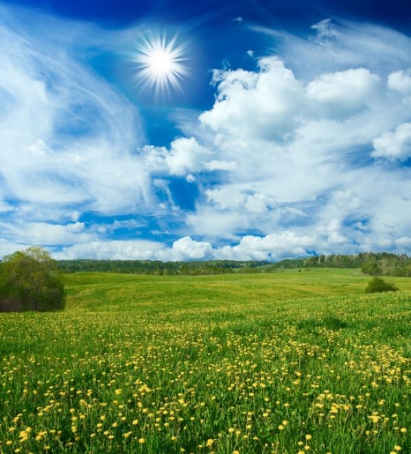 Przysłowia ludowe na czerwiec