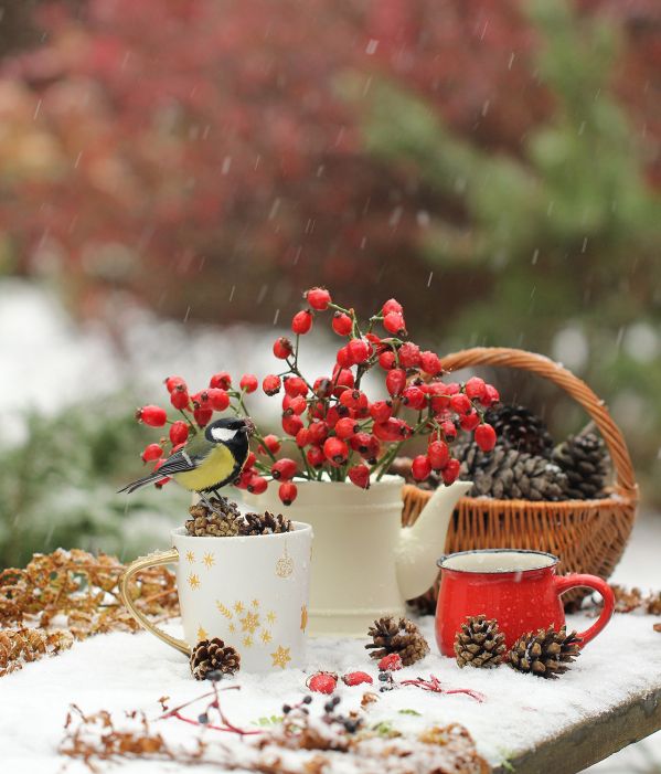 kalendarz biodynamiczny styczeń 2026