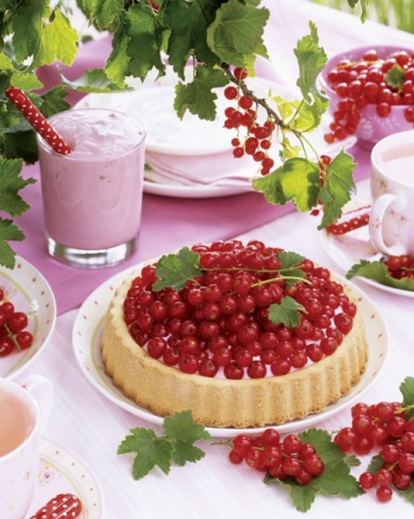 Tarta z kremem i porzeczkami