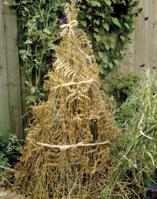 Czas zdjąć chochoła