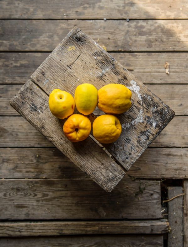 właściwości pigwy