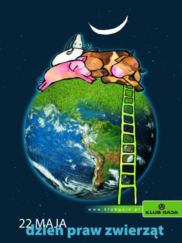 W Dniu Praw Zwierząt... zjedz coś innego