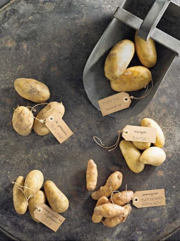 Ziemniaki nie są nudne