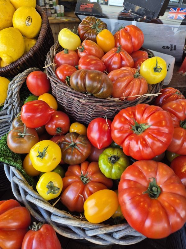 najsmaczniejsze odmiany pomidorów