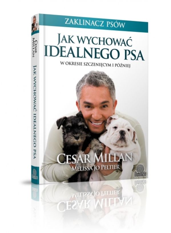 Jak wychować idealnego psa?