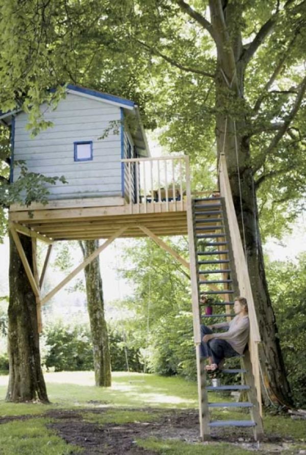 Domki na drzewach