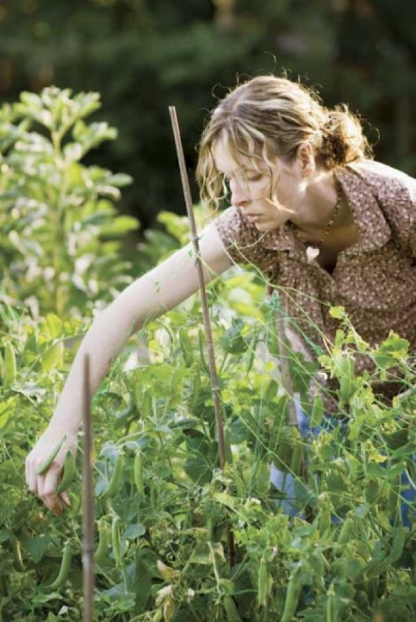 Sama uprawiam groszek