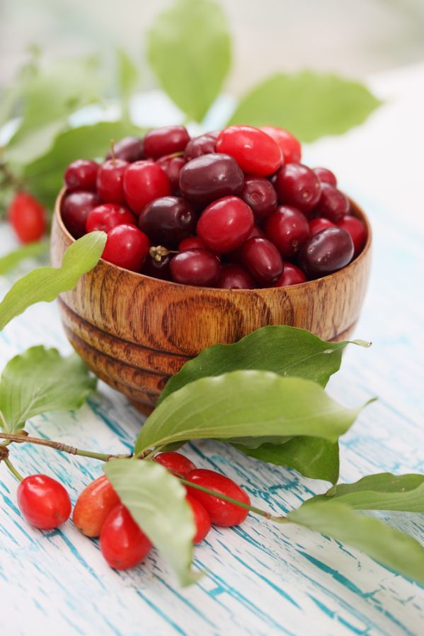 Polskie oliwki z derenia