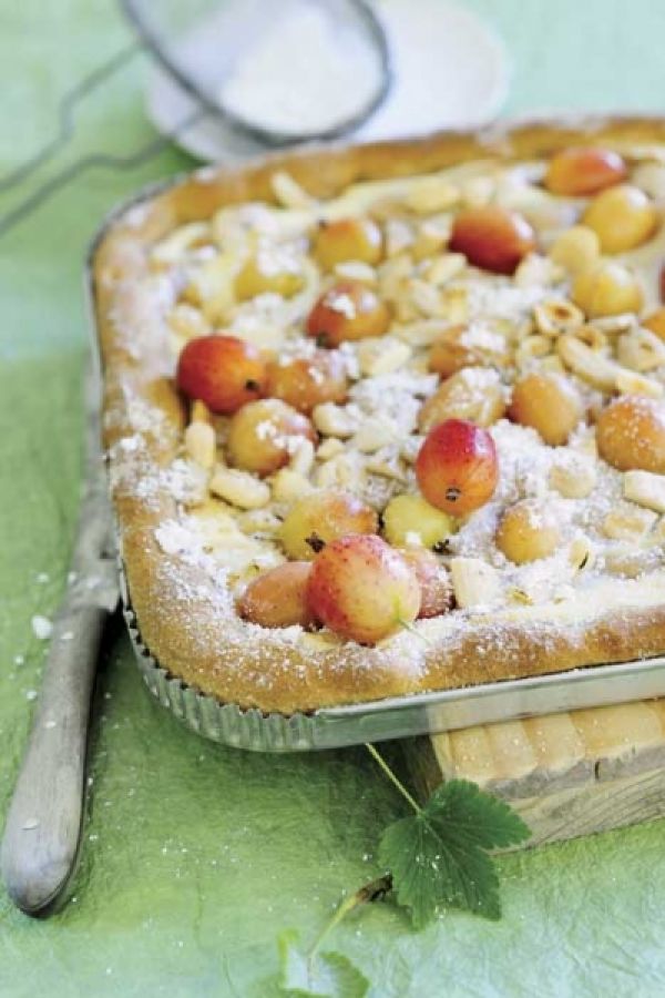 Mr Agrest & Ms Gruszka