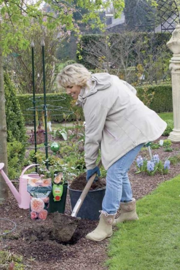 Jesienne co nieco dla roślin