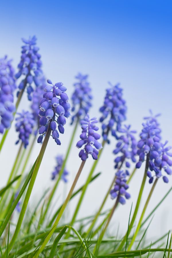 kalendarz biodynamiczny marzec 2026