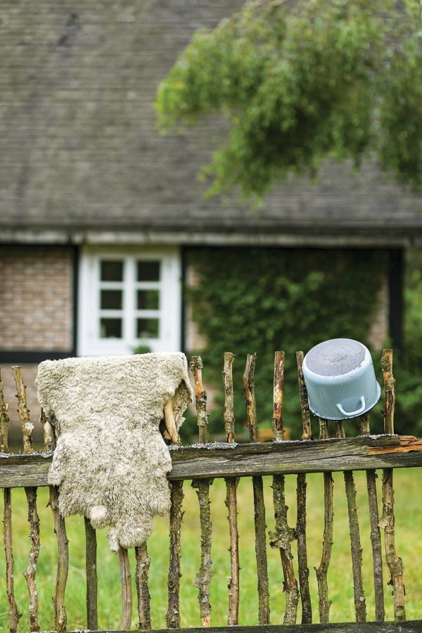 dom w lesie na mazurach