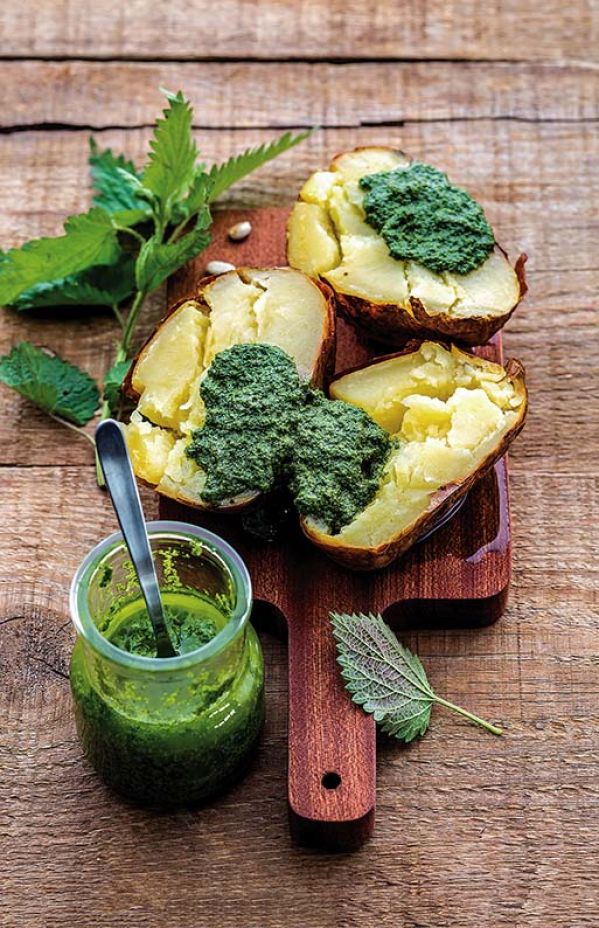 Gąszcz pokrzywowy Anny