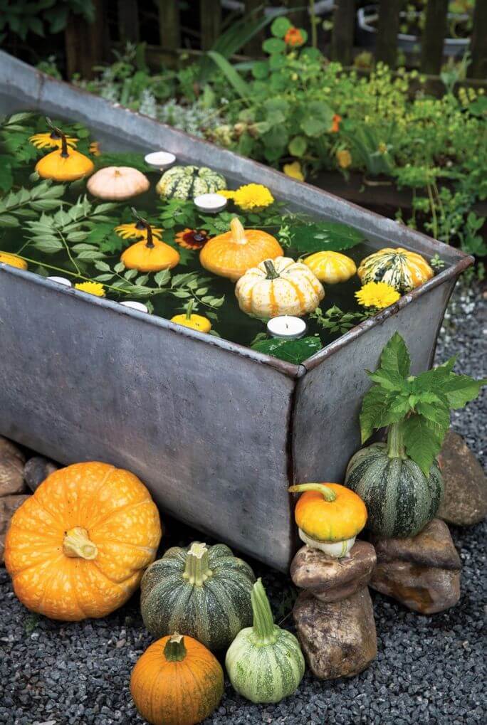 Dekoracje z dynii i tealightów