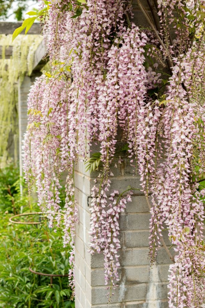 kalendarz biodynamiczny maj 2026