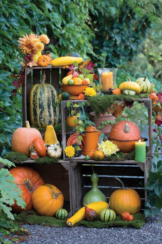 Dekoracje z dyni na skrzynkach
