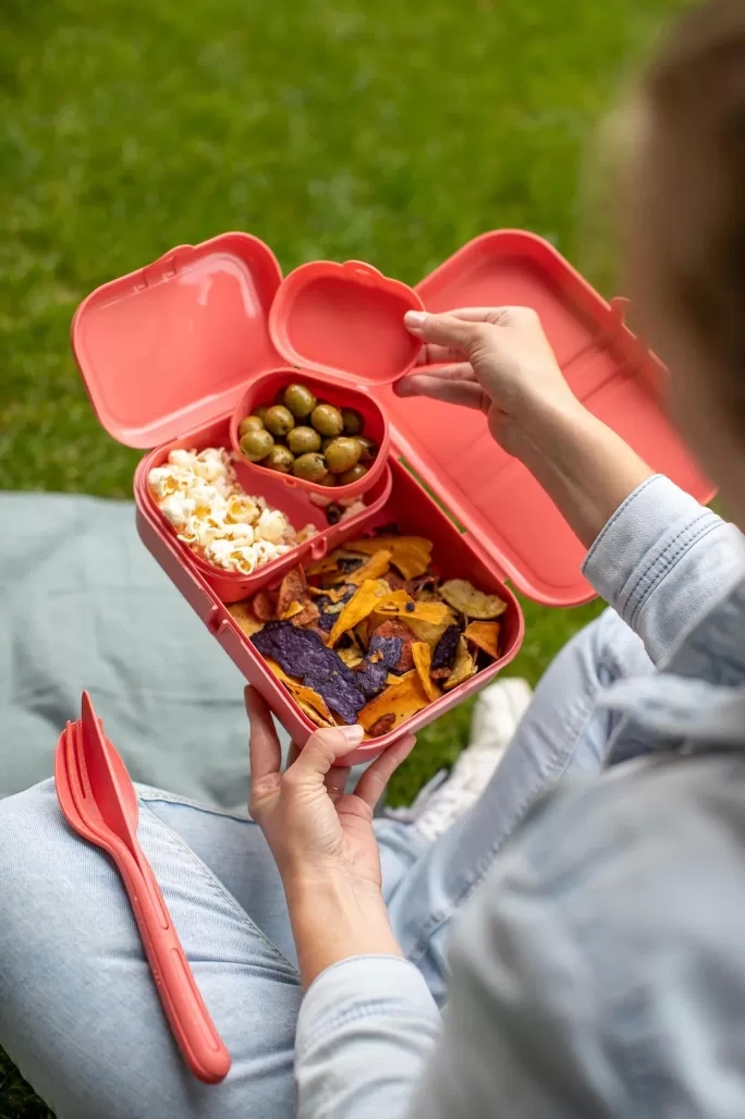 lunchbox