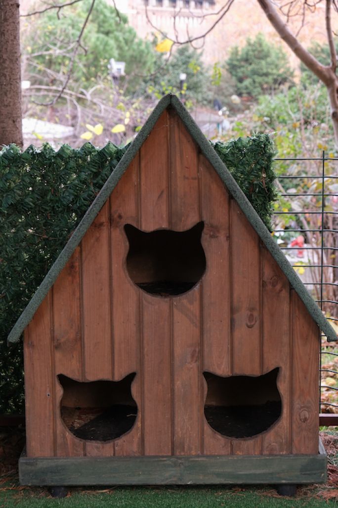 drewniany domek dla kota