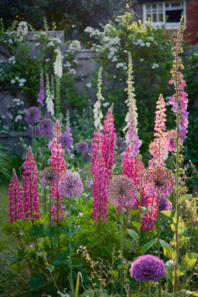 Od czego zacząć projekt ogrodu wiejskiego