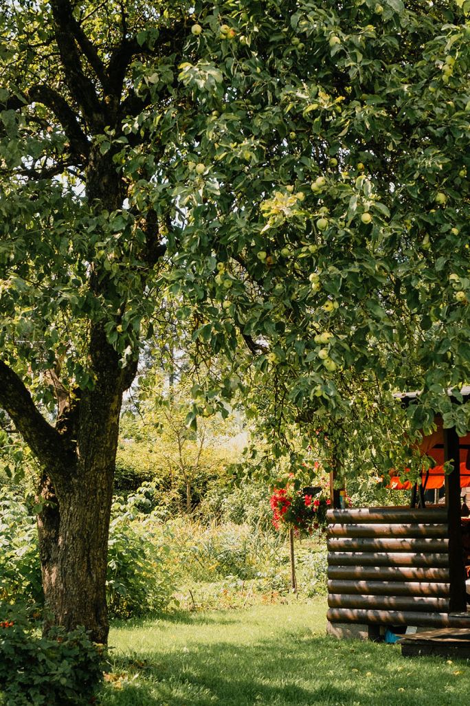 kalendarz biodynamiczny sierpień 2026