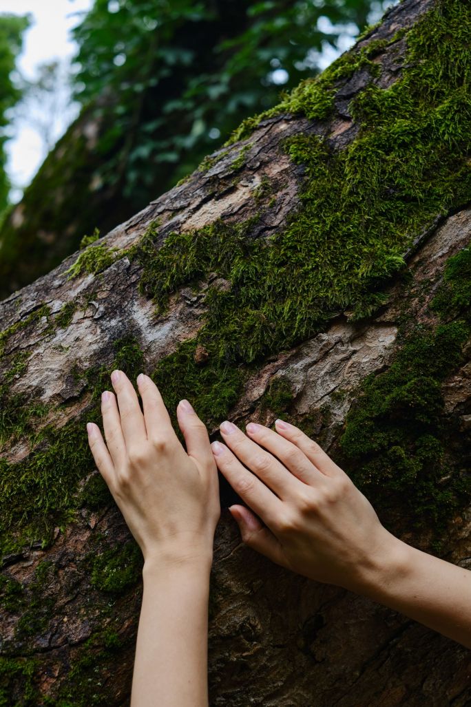 Dotykanie kory drzew czy chodzenie boso po mchu pomoże w pełniejszym odczuwaniu leśnego ekosystemu