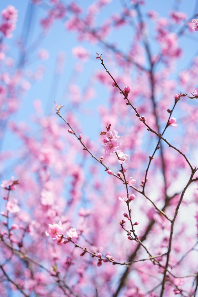 kalendarz księżycowy kwiecień 2026