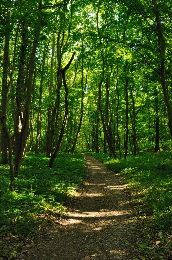 Z przyrodą jest tak, że im mniej w nią ingerujemy, tym lepiej się ona ma.