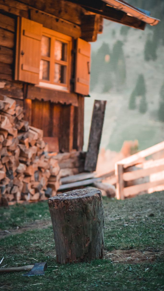 kalendarz biodynamiczny styczeń 2026