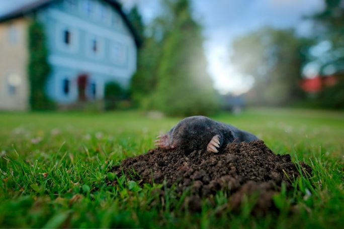 Natura rządzi się swoimi prawami - warto je uszanować