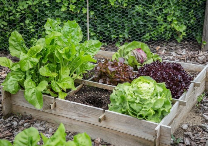 jak zrobic skrzynie na warzywa